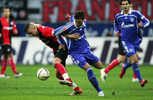 我们都能看 我们都能看